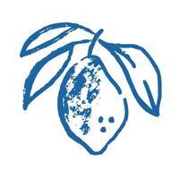 Doodle ink branch of lemon on isolated background. Abstract crayon fruit in trendy sketch style vector