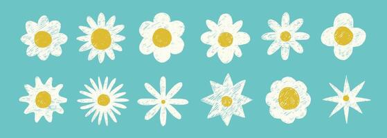 Set of drawn abstract head flower in doodle ink style. Crayons daisy shape. . Hand drawn decorative elements. vector