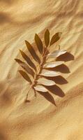Golden sand dunes meet nature's touch a singular leaf creates contrast in sunlit scene photo