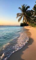 Tranquil tropical beach scene with palm trees meeting crystal clear water at golden hour photo
