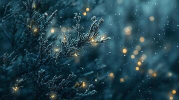 Enchanted winter, frosted juniper branch with soft bokeh and gentle snowfall backdrop photo