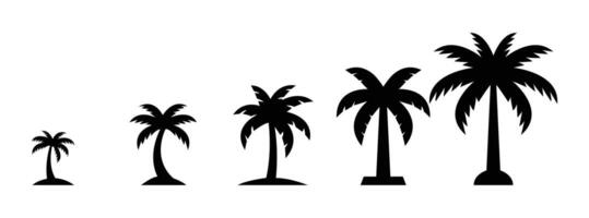 Silhouette illustration of varying sizes of palm trees. silhouette palm tree, tropical, summer vacation, summer, beach vector