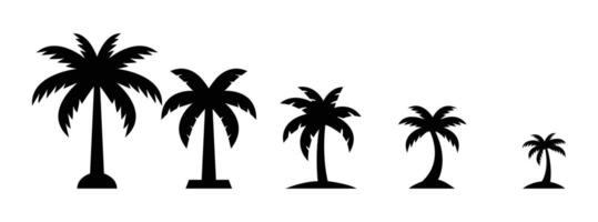 Silhouettes of varying sized palm trees. palm trees, summer vacation, travel, botany vector