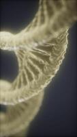 uma fechar acima Visão do uma dna Duplo hélice estrutura exibido dentro suave luz video