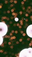 Viewing the navirus under a digital microscope video