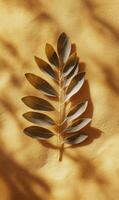 Elegant botanical study featuring a verdant twig against a textured ochre backdrop and shadows photo