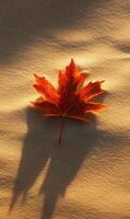 A solitary amber maple leaf delicately rests on shimmering sunlit sandy beach backdrop serene scene photo