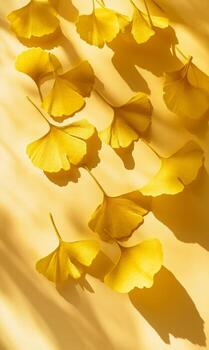 Ginkgo foliage gilded in sunlight offering calm and autumn charm in a warm monochromatic palette photo