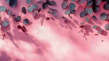 Eucalyptus branches casting delicate shadows on a textured soft pink background photo
