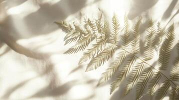 Dried fern frond casting shadows on light fabric background creating botanical aesthetics photo