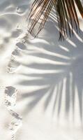 Minimalist beach scene featuring footprints in soft sand and delicate palm frond shadow photo