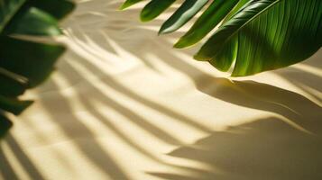Tropical banana leaf casting intricate shadows on a light toned textured surface backdrop photo