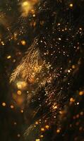 Golden glow illuminates pine branches, creating a dreamy and festive winter atmosphere photo