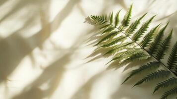 Fern frond casting gentle shadows on a textured creamy fabric, creating natural serenity photo