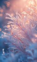 Delicate frozen vegetation adorned with crystalline frost under gentle pastel sunlight glow photo