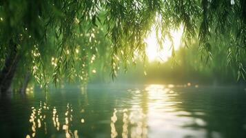 Dreamy waterside scene with weeping willow branches and sunlight reflecting on ripples photo