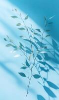 Ethereal leafy branch silhouette cast on soft aqua surface for contemplative composition photo