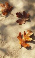 Autumnal whispers three oak leaves settle gracefully on textured sand surface serenity photo