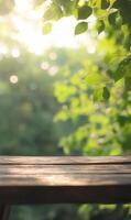 Sun Drenched Leaves Frame a Rustic Wooden Surface, Embracing the Serenity of Nature photo