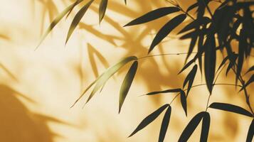 Elegant bamboo fronds casting nuanced shadows on a textured ochre background for design photo