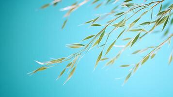 Delicate light green leaves against a serene turquoise backdrop evoking fresh tranquility photo