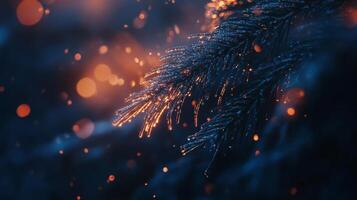 Enchanting winter, illuminated spruce bough with shimmering bokeh in nocturnal ambience photo