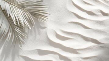 Minimalist composition of pale palm fronds contrasting against textured sandy surface photo