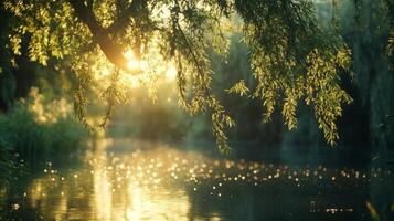Sunlit tranquility a peaceful waterscape with shimmering reflections and weeping willow branches photo