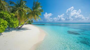Idyllic tropical beach view with turquoise waters and swaying palm trees under blue sky photo