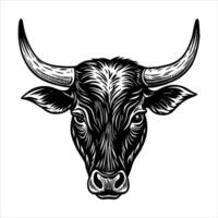 Texas Longhorn Cattle vector