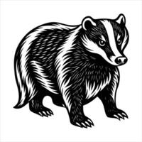 A black and white drawing of a badger vector
