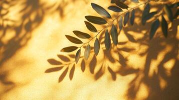 Botanical interplay light and shadow with golden backdrop creating organic ambience photo