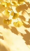 Golden ginkgo branch casting shadows on a soft amber backdrop, botanical serenity photo