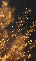Twinkling light display creating an ethereal, warm ambiance and a festive atmosphere. photo