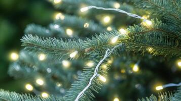 Festive evergreens adorned with luminous lights create holiday mood and winter atmosphere photo