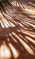 Palm frond shadows cast a linear pattern on textured beige surface during daytime photo
