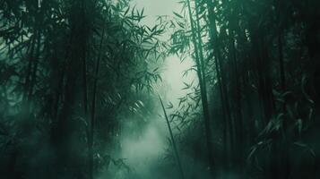 Enigmatic bamboo grove shrouded in ethereal mist with an aura of mystery and tranquility photo