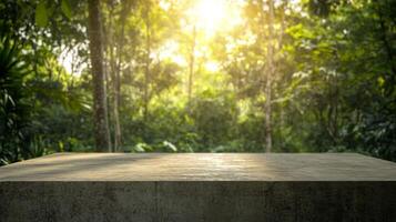 Sun kissed forest backdrop with stone ledge offering serene wilderness view and radiant sunlight photo