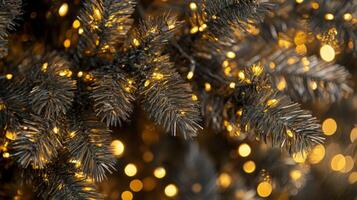Festive evergreen branches adorned with shimmering lights evoke a magical ambiance photo