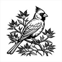 Cardinal bird perched on a branch vector