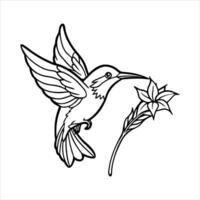 Hummingbird with flower Black vector
