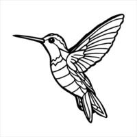 Hummingbird coloring pages vector