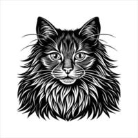 siberian cat head vector