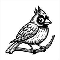Cardinal On Branch vector