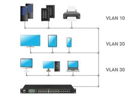 3D Vlan or Virtual area network diagram and trunk connections on white background. vector