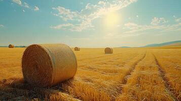 Round hay bales dot golden wheat field beneath vivid blue sky, capturing rural essence with bright sunlight rays piercing through scattered white clouds. field photo
