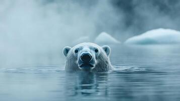 Majestic polar bear swims through arctic waters with misty icebergs behind, creating ethereal blue-white scene with crystal reflections and dramatic fog in National Geographic style. ethereal photo