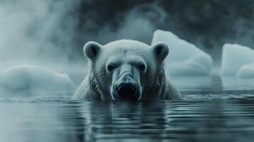 Majestic polar bear swims through arctic waters with misty icebergs behind, creating ethereal blue-white scene with crystal reflections and dramatic fog in National Geographic style. dramatic photo
