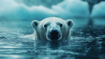 Majestic polar bear swims through arctic waters with misty icebergs behind, creating ethereal blue-white scene with crystal reflections and dramatic fog in National Geographic style. swimming photo