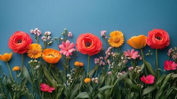 Colorful flowers arranged against a blue background showcasing vibrant spring colors and blooms. photo